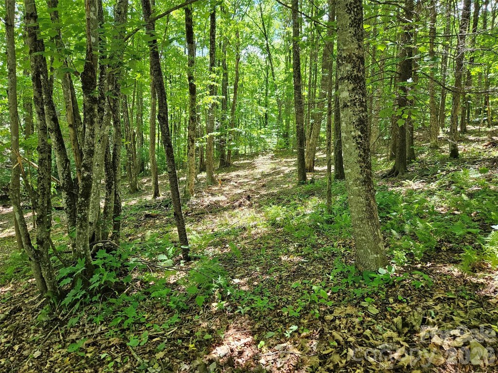 Picture 23