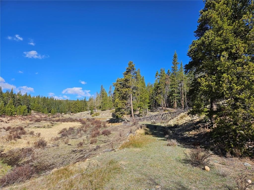 Land in South Park, Colorado