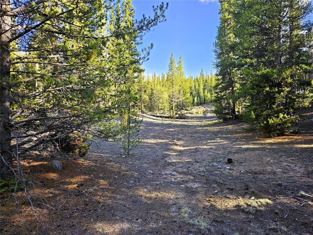Picture 35