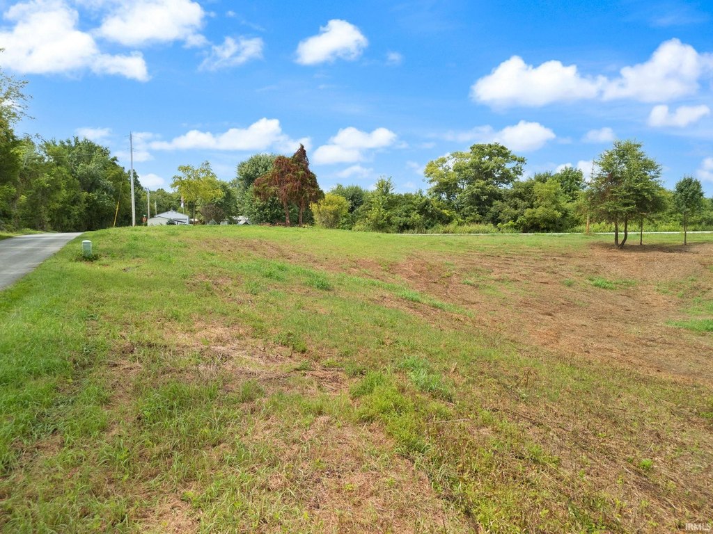 Picture 21
