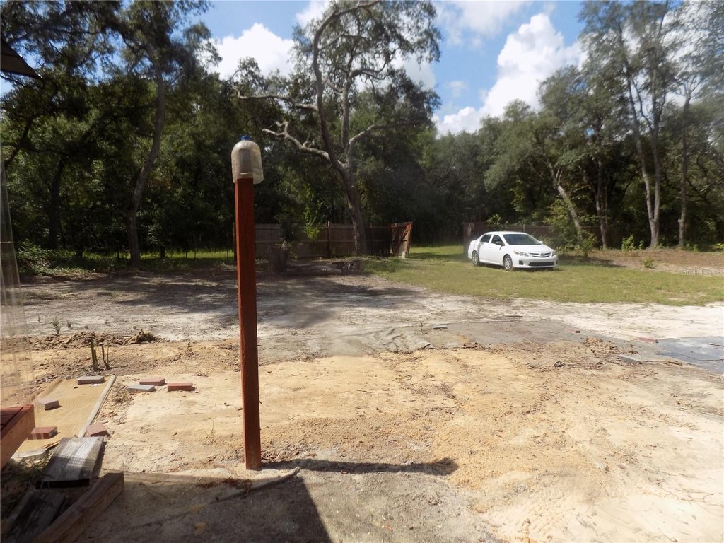 Picture 12