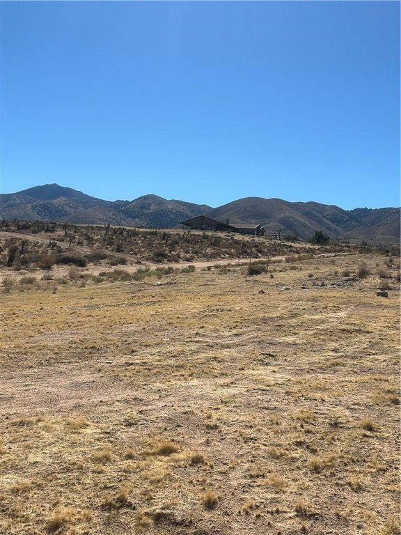 Picture 3