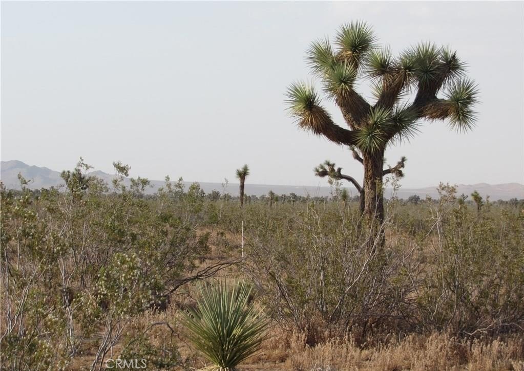 Adelanto Industrial Land For Sale