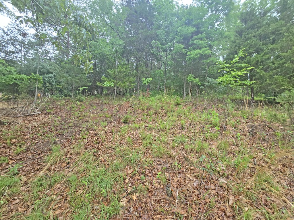 Picture 12