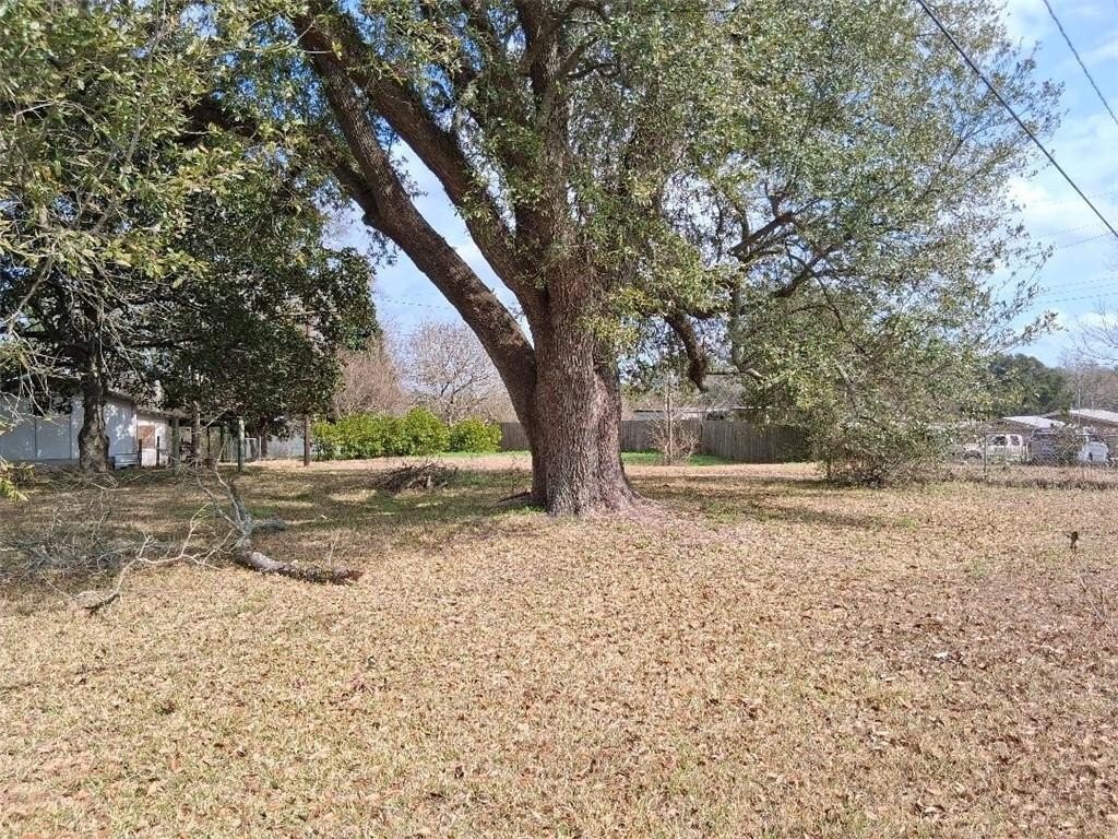 Picture 14