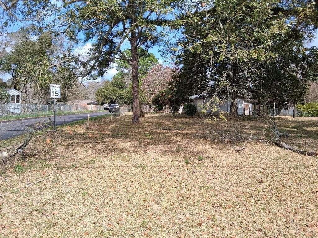 Picture 15