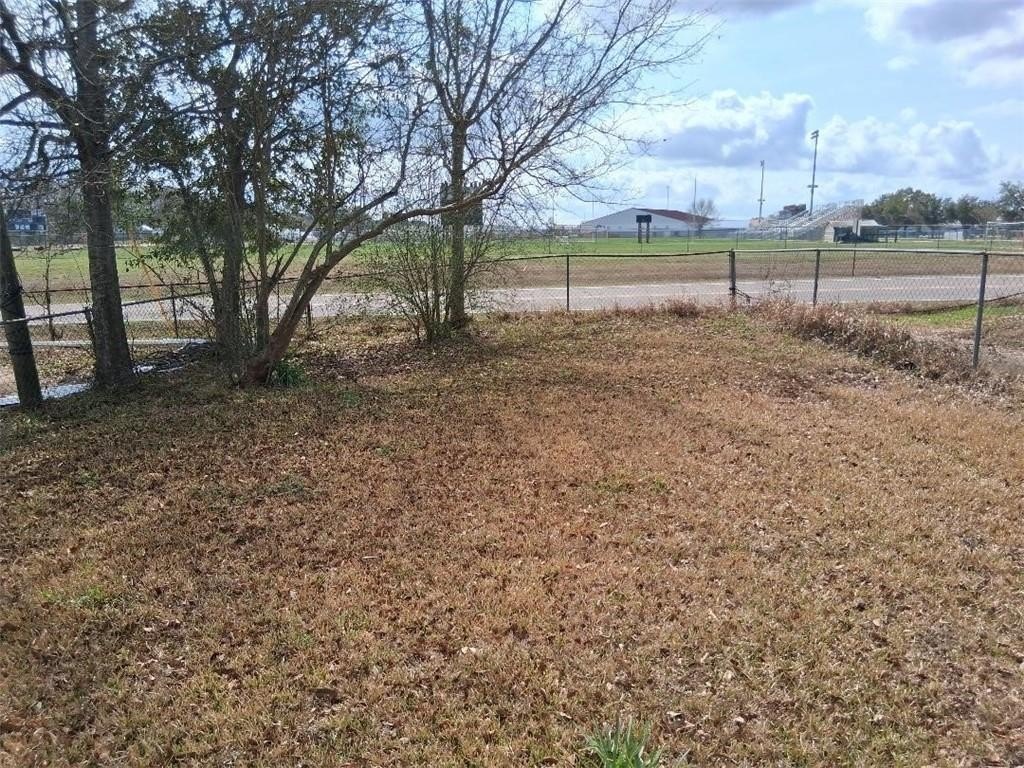 Picture 11