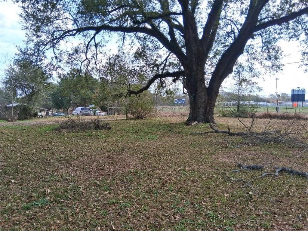 Picture 2