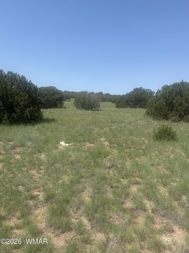 LAND - Concho, AZ