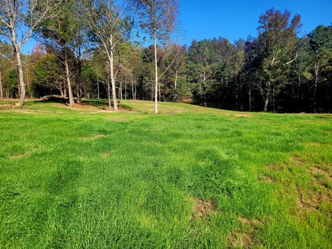 Land with Pond and Creek