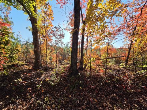 Land, Arvonia, VA