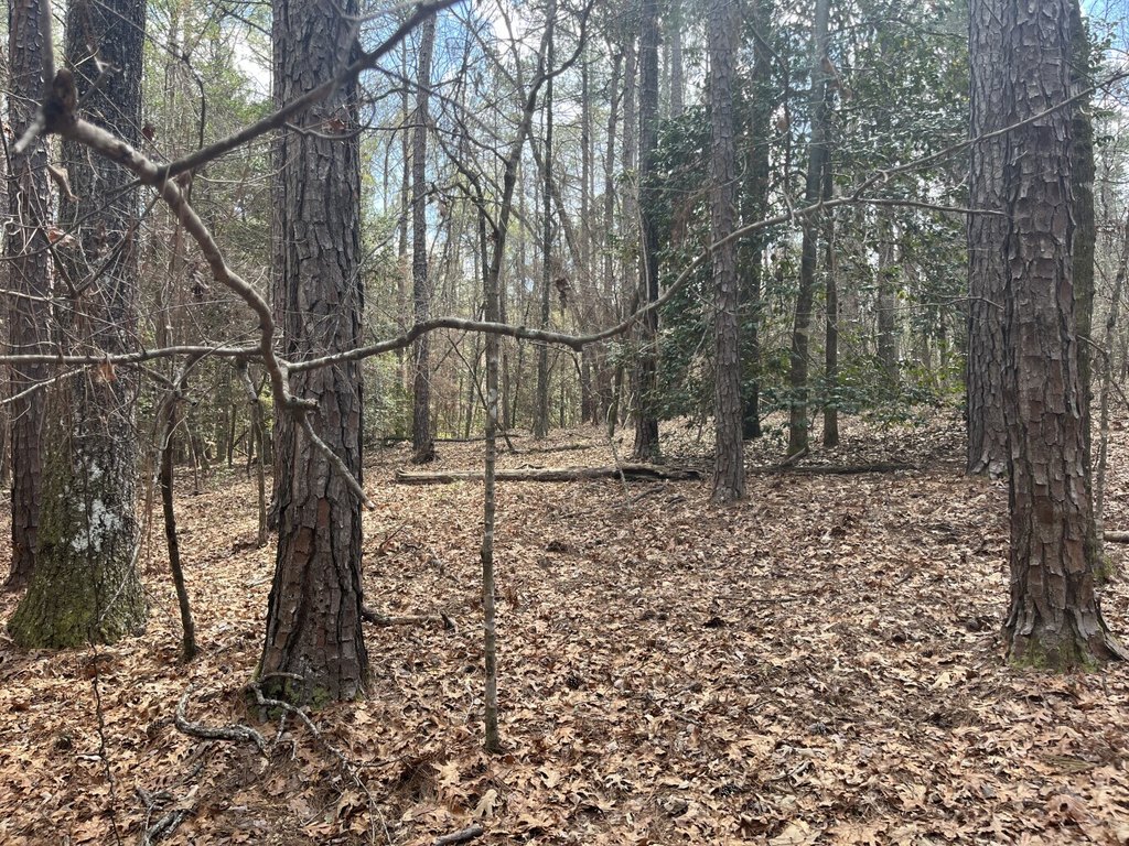 Picture 47