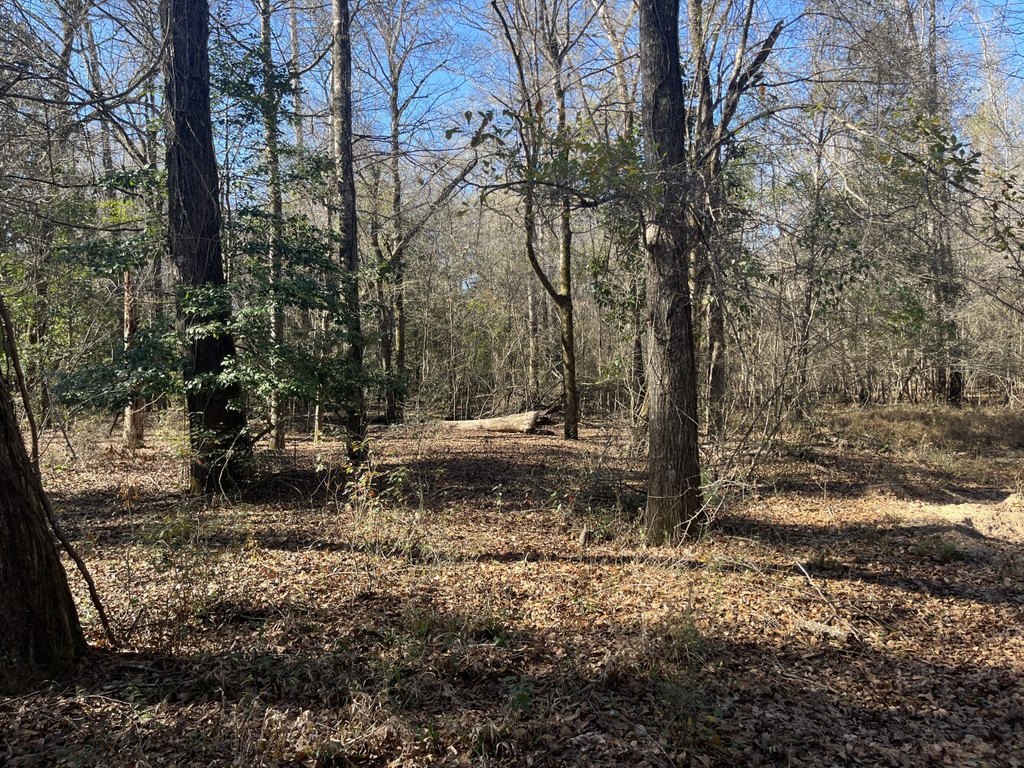 Picture 25