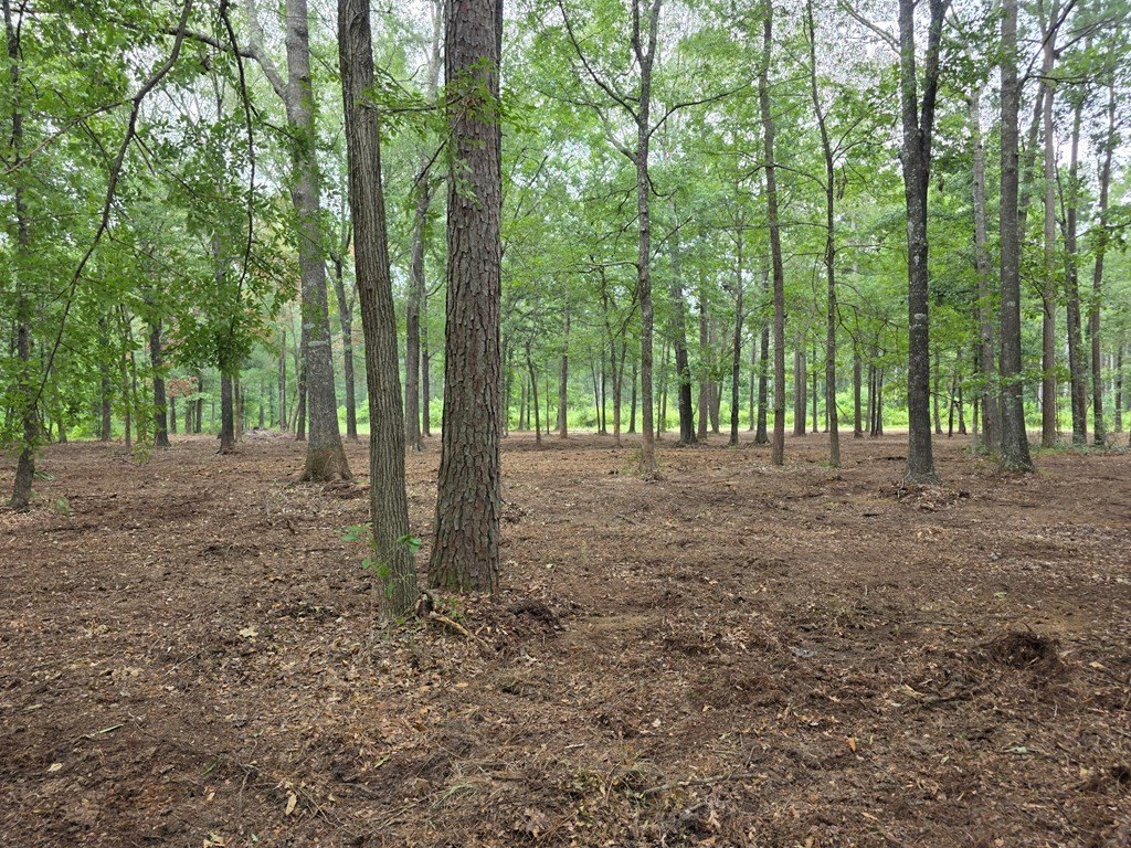 Picture 5