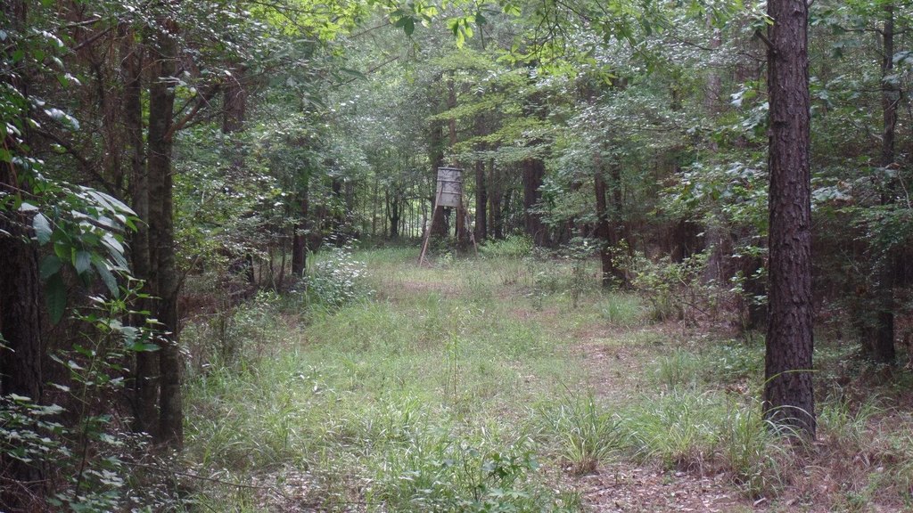 Picture 14