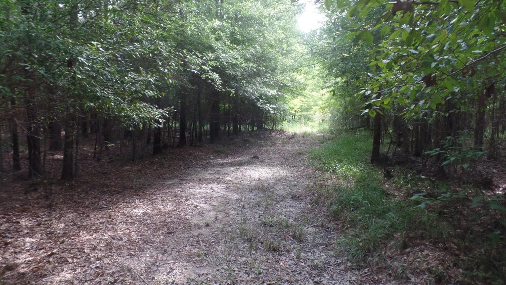 Picture 3