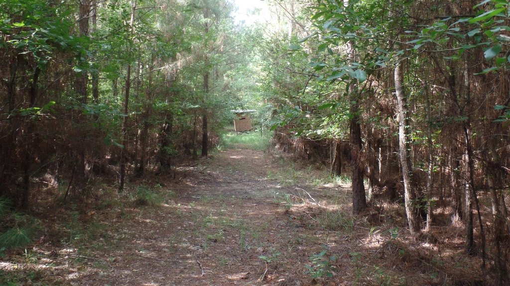 Picture 8