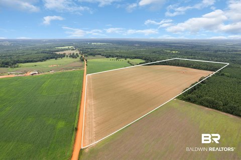 Farm and Timber Acreage