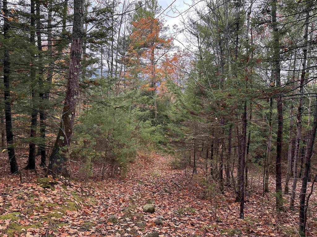 Picture 25