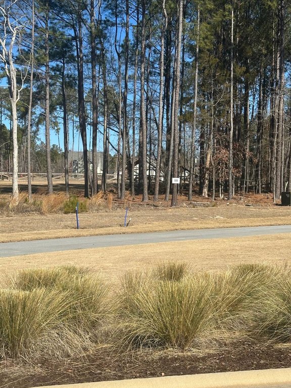 Picture 3