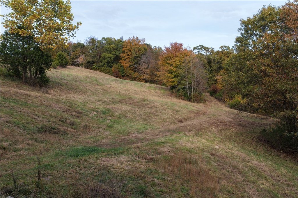 Picture 8