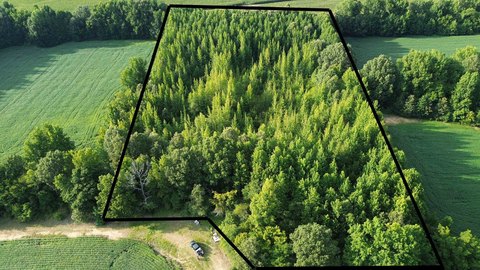 Wooded Hunting Land Retreat