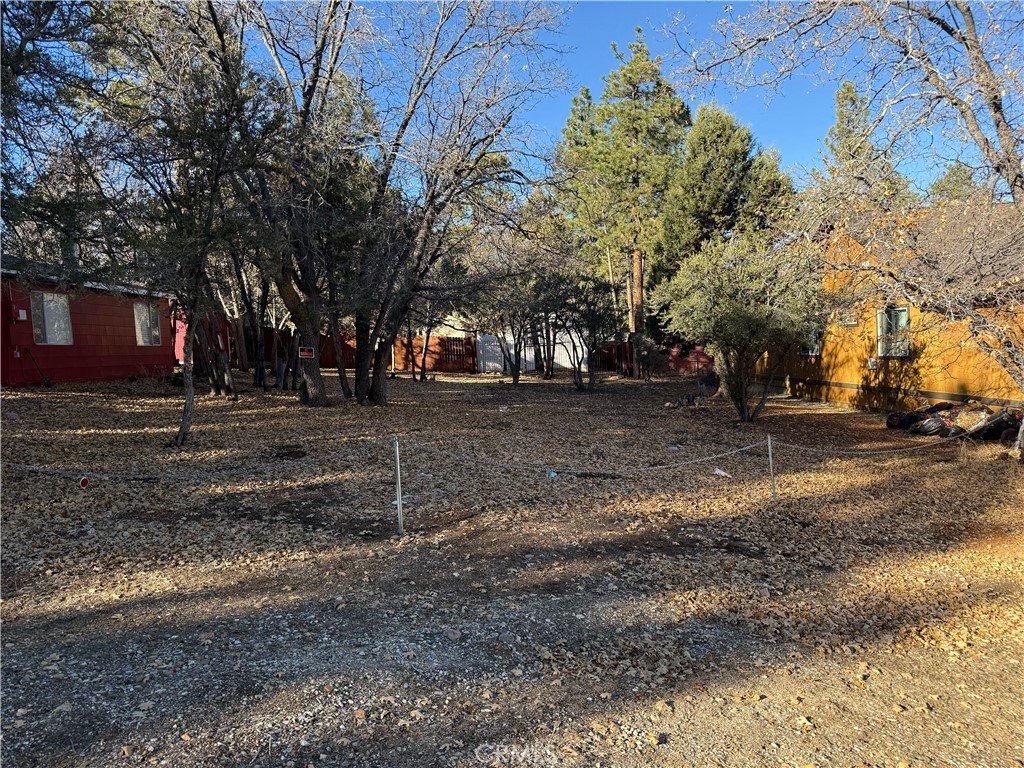 Level Lot Near National Forest