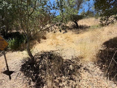 Land, San Rafael, CA