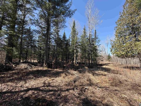Esko, MN Residential Land