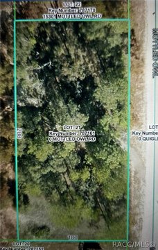Land, Weeki Wachee, FL