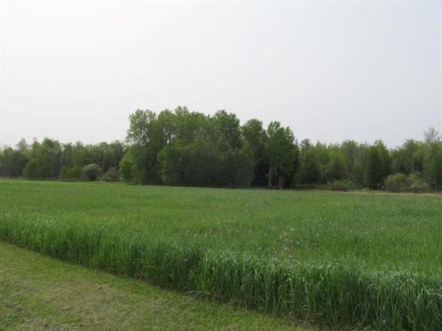 Picture 12