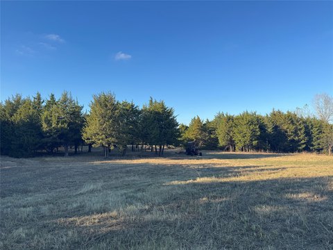 Timbered Country Land Tract