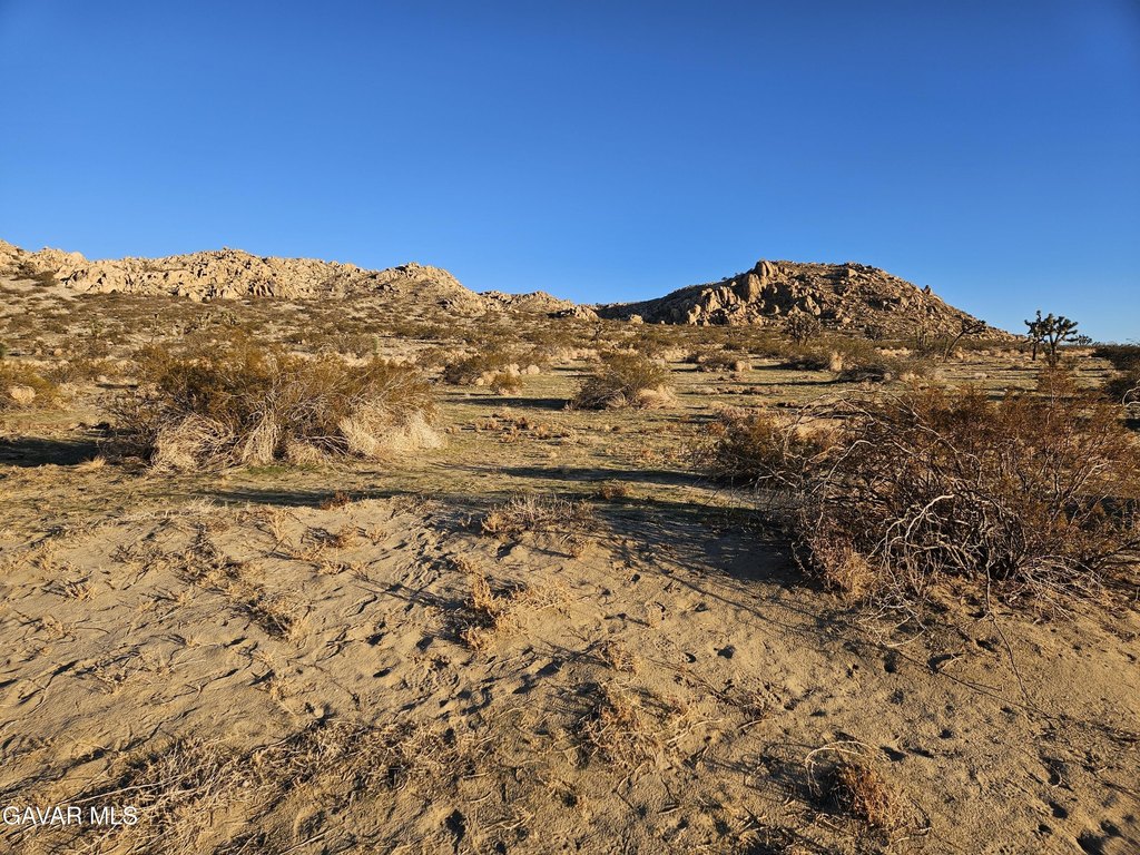 Picture 26