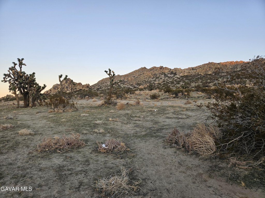Picture 9