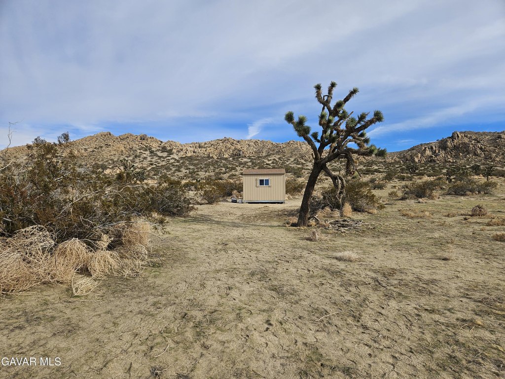 Picture 30