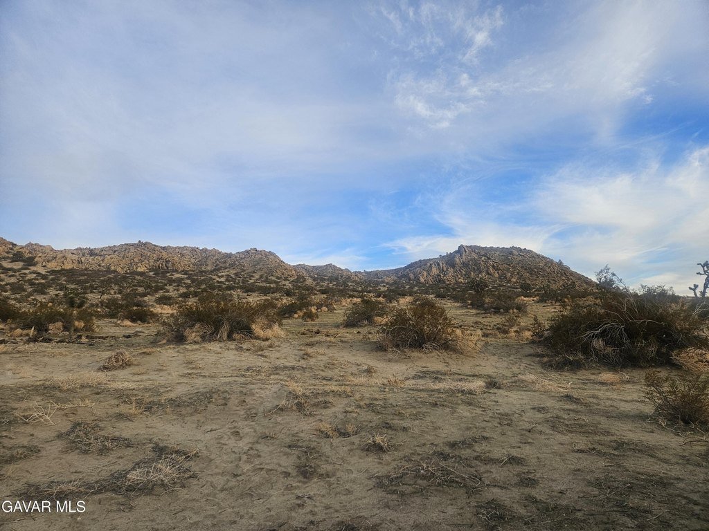 Picture 39