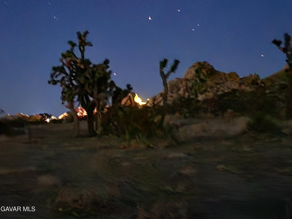 Picture 42