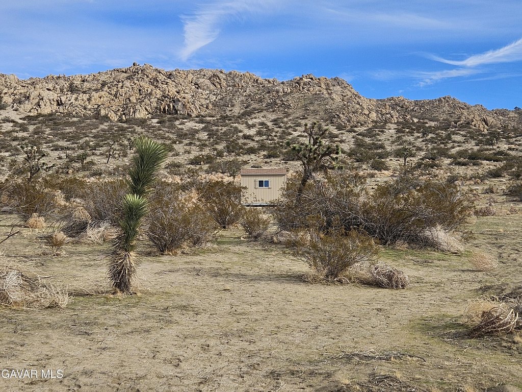 Picture 29