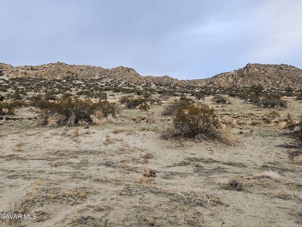 Picture 27