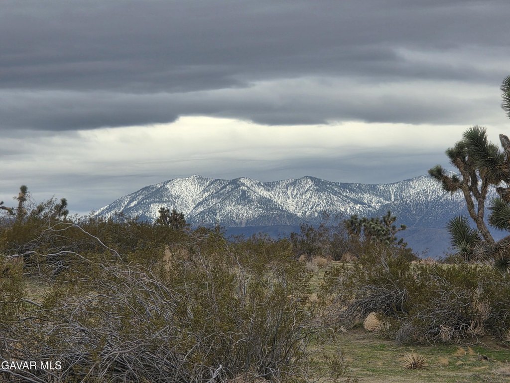 Picture 19