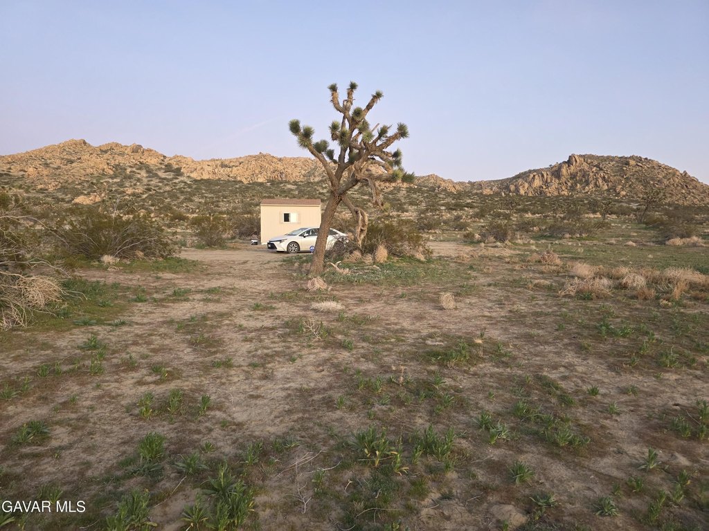 Picture 25