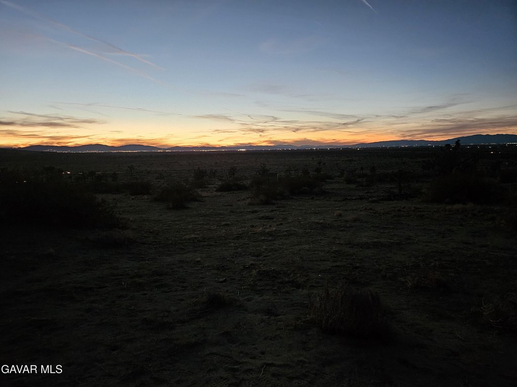 Picture 41