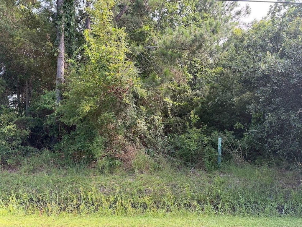 Picture 3