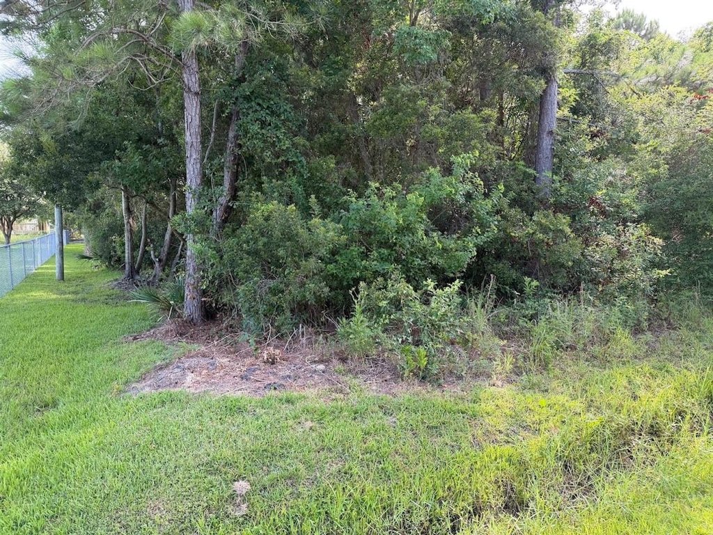 Picture 2