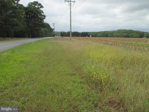 Acre Lot in Dagsboro, DE