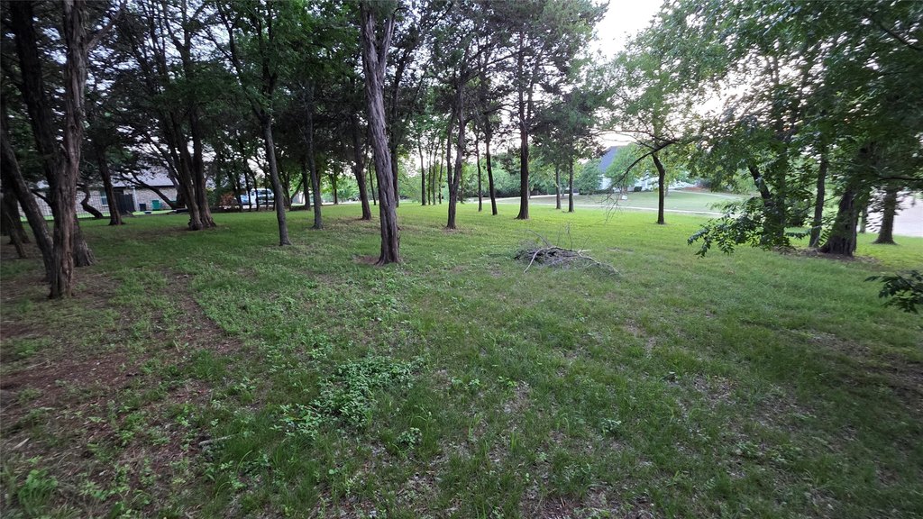 Picture 13