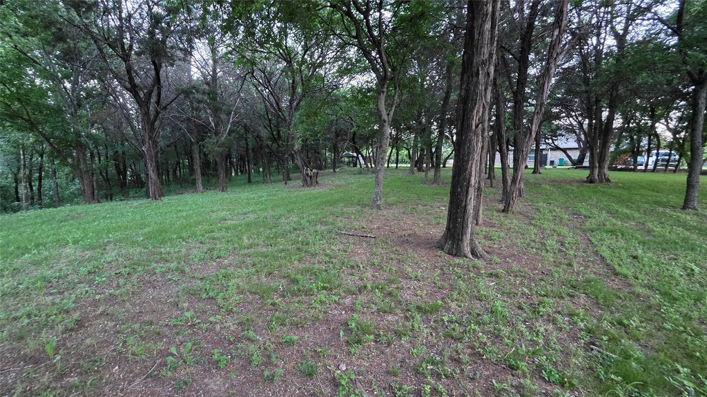 Picture 12