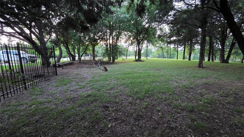 Picture 15