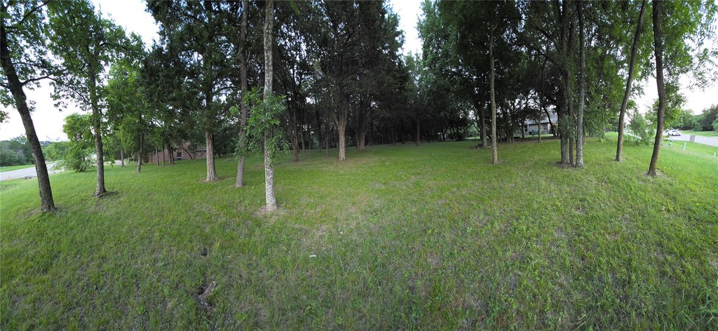 Picture 11