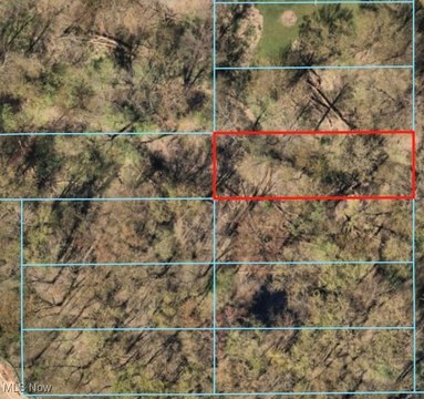 Commercial Land in Madison, OH